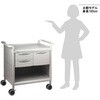 MS24B-AS 【組立済み】モバイルストアーカート MS24シリーズ アズワン 06774630