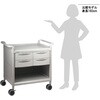 MS24A-AS 【組立済み】モバイルストアーカート MS24シリーズ アズワン 06775278
