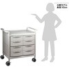 MS24D-AS 【組立済み】モバイルストアーカート MS24シリーズ アズワン 06775312