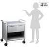 MS24C-AS 【組立済み】モバイルストアーカート MS24シリーズ アズワン 06775427
