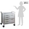 MS24G-AS 【組立済み】モバイルストアーカート MS24シリーズ アズワン 06775671