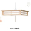 RVKR80314 活字日和 LED和風ペンダント タキズミ(TAKIZUMI) 06809630