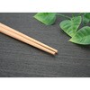 YOS-001 吉野杉 らんちゅう 白帯巻 吉井商事 06822336