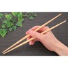 YOS-001 吉野杉 らんちゅう 白帯巻 吉井商事 06822336