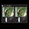 10×42 PRO BLK 双眼鏡 10x42 PRO OMデジタルソリューションズ 06824409