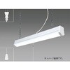 TF24040D LEDチェーン吊り照明 タキズミ(TAKIZUMI) 06827541