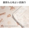 KDKL507 電気掛敷毛布 コイズミ(小泉成器) 06831802