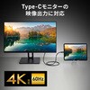 KU-10GCCP10010 USB TypeCケーブル USB 10Gbps PD100W映像出力対応 サンワサプライ 06835311