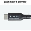 KU-10GCCP10010 USB TypeCケーブル USB 10Gbps PD100W映像出力対応 サンワサプライ 06835311