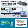 USB-CVDK17N ドッキングステーション USB TypeC 4K対応・HDMI×2画面出力 サンワサプライ 06835399