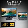 KU-10GCCP100L10 USB TypeCケーブル USB 10Gbps PD100W映像出力対応 サンワサプライ 06835496