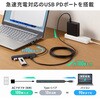USB-5TCP35BK USBハブ USB 5Gbps PD対応 サンワサプライ 06835618