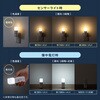 LED-SL2 LEDライト 人感明暗センサー付き 充電式 サンワサプライ 06835767