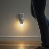LED-SL2 LEDライト 人感明暗センサー付き 充電式 サンワサプライ 06835767