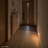 LED-SL2 LEDライト 人感明暗センサー付き 充電式 サンワサプライ 06835767