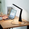 LED-DESK5BK LEDデスクライト USB充電式 サンワサプライ 06835810