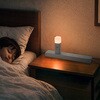 800-LED103 LEDライト 充電式 人感明暗センサー サンワダイレクト 06835828