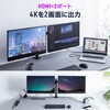 400-VGA024 ドッキングステーション USB TypeC サンワダイレクト 06835889