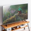200-CRT034 液晶テレビ保護パネル 55インチ サンワダイレクト 06835898