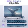 500-KC052 USB TypeC変換ケーブル USB TypeC-HDMI サンワダイレクト 06836318