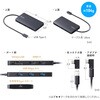 400-HUBCP24BK ドッキングステーション USB TypeC サンワダイレクト 06836370