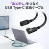 500-USB104-1L USB TypeC延長ケーブル USB 5Gbps PD100W対応 サンワダイレクト 06836406