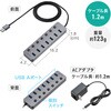 400-HUBA32GM-12 USBハブ USB 5Gbps スイッチ付き サンワダイレクト 06836537
