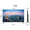JN-IPS50U-M-H5 液晶ディスプレイ 50型/3840×2160/HDMI×3/ブラック/スピーカー有/5年保証 JAPANNEXT 06837472
