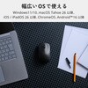 M-LO10BRMSABK マウス Bluetooth 無線 静音 3ボタン 乾電池式 左右対称 シンプル 2年保証 ワイヤレスマウス エレコム 06846712