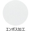 NR-40 プラスチック 薄型 中華まな板 東和ポリエイト 06853048