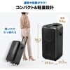 400-SP130 拡声器スピーカー ワイヤレス ワイヤレスマイク付き サンワダイレクト 06866829