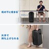 400-SP130 拡声器スピーカー ワイヤレス ワイヤレスマイク付き サンワダイレクト 06866829