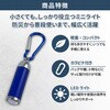 10003684BL カラビナ付き ミニLEDライト カプセル型 EVERSAFE 06873016