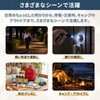 10003684BL カラビナ付き ミニLEDライト カプセル型 EVERSAFE 06873016