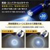10003684BL カラビナ付き ミニLEDライト カプセル型 EVERSAFE 06873016