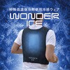 WDI26-500 ワンダーアイス WONDER ICE 特殊低温保冷剤 500g ナガセテクノサービス 06874380