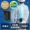 400-TOY053BK ウエストファン リン酸鉄リチウムイオン電池 充電式 サンワダイレクト 06876008