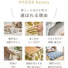 270625301 アルミシート入り 蓄熱こたつ布団 約190R 円形 丸型 デルタ柄 グレー 萩原 06877128