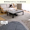 LCR-F12080(BK/BS)+AKFS-2024HS(MI) こたつ 掛け敷き布団セット 120×80cm YAMAZEN(山善) 06883507
