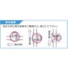 SVC2-20 SVC2型 ステンレス スイングチャッキバルブ SCS13A(SUS304相当) 200PSi フジトク 06987439