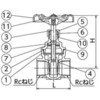 SVG2-25 SVG2型 ステンレス ゲートバルブ SCS13A(SUS304相当) 200PSi フジトク 06986441