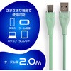 ALG-P5SCAC20BK PS5用シリコンケーブルTypeAtoC2m ブラック ALLONE 07027242