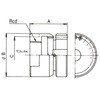 QH3-D TCT x 07100125