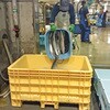 37449623