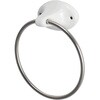 PORCELAIN TOWEL RING(ポーセリンタオルリング) ダルトン