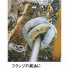 07582601