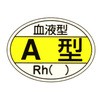07693813