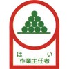 07693874
