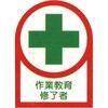 07694066