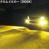 07817306